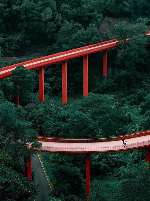 【泊寓户外】8月24日虹桥公园+大顶岭绿道徒步 商品图1