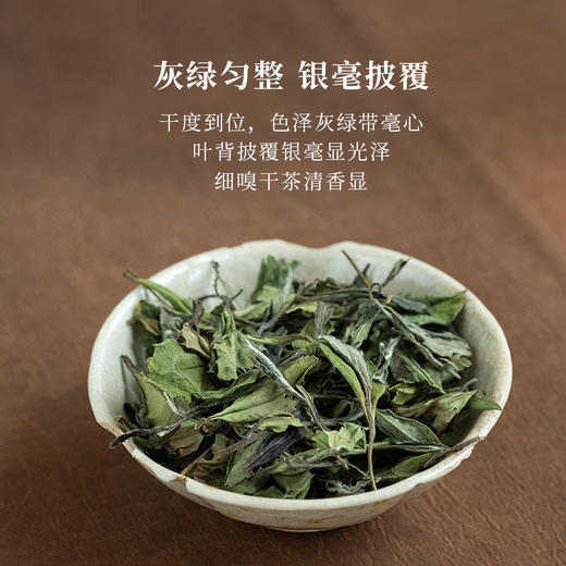 「北路茶叶」春味 福鼎白茶2022雨前春寿眉散茶正宗高山茶叶240g 商品图1