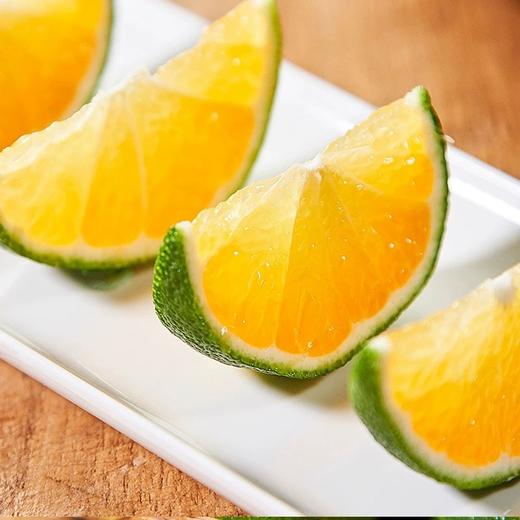 【云南玉溪】云南青皮蜜桔（无籽）新鲜水果个大饱满 商品图3