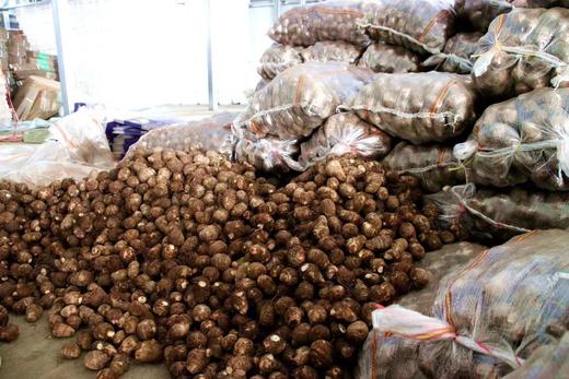 【HFS】农家毛芋头 500g/份 商品图6