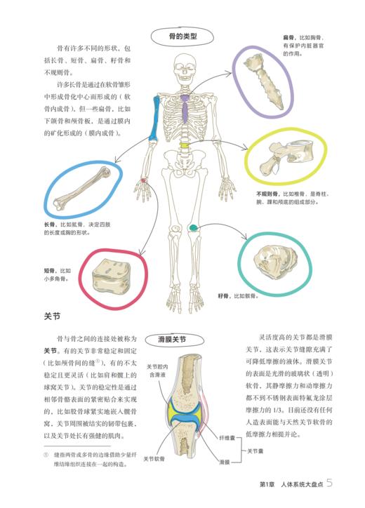 《图解化学》《图解人体》 商品图13