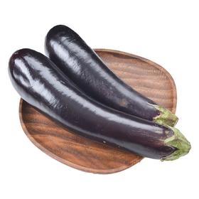 每日伊藤茄子约500g/份