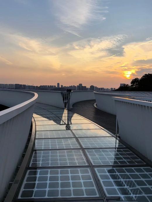 【泊寓户外】8月24日虹桥公园+大顶岭绿道徒步 商品图6