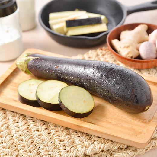 每日伊藤茄子约500g/份 商品图3