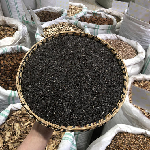 车前草  车前子 商品图0