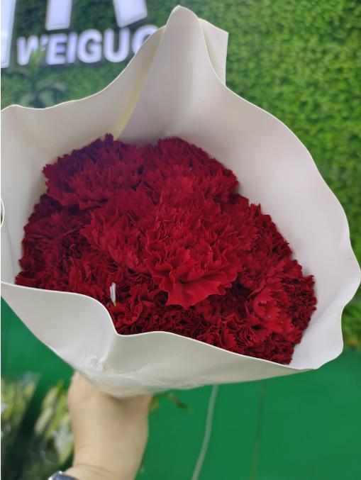 红康乃馨10支 商品图1