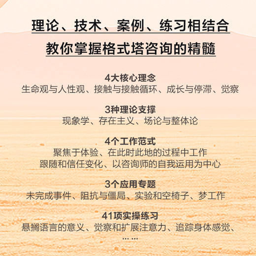 成为格式塔咨询师 心理咨询师的完形之路 格式塔心理咨询理论与实践格式塔咨询与*技术格式塔咨询师新手入门教程 商品图3