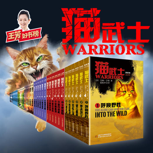 猫武士系列【全套45册】（1-8部曲）  适读年龄6-15岁 商品图8
