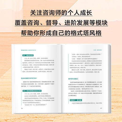 成为格式塔咨询师 心理咨询师的完形之路 格式塔心理咨询理论与实践格式塔咨询与*技术格式塔咨询师新手入门教程 商品图4