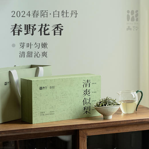 「北路白茶」春陌 福鼎白茶白牡丹明前茶叶2024年正宗高山散茶新茶250g 商品图0