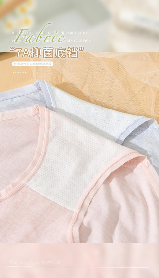 女士彩纱撞色竖纹提花无缝裸氨超薄内裤3264/3263/6302/3176 商品图2