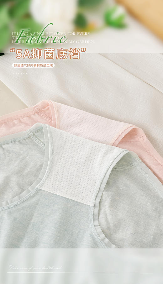 女士彩纱撞色竖纹提花无缝裸氨超薄内裤3264/3263/6302/3176 商品图7