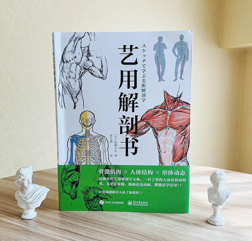 艺用解剖书 艺用解剖基础入门课 运动器官人体体表结构 简易骨骼图手部解剖素描图 艺用解剖学速写技法教程书籍 张文慧 商品图1
