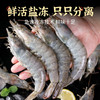 秘鲁盐冻大虾 | 源自南美厄瓜多尔南面 新鲜捕捞 活虾速冻 肉质饱满紧实 虾肉鲜嫩 鲜虾盐冻 只只分离 拒绝反复冷冻 商品缩略图2