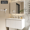 ZX119现代风浴室柜 商品缩略图0