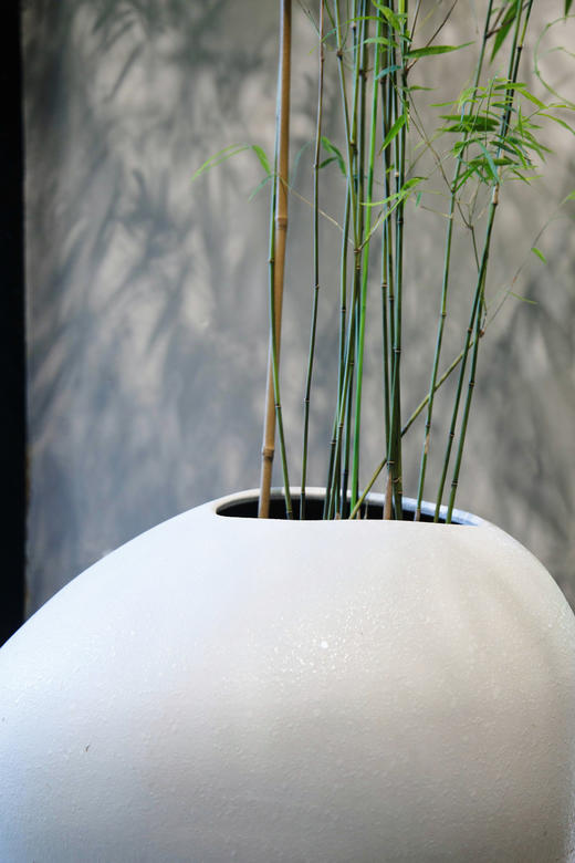 内门竹 商品图1