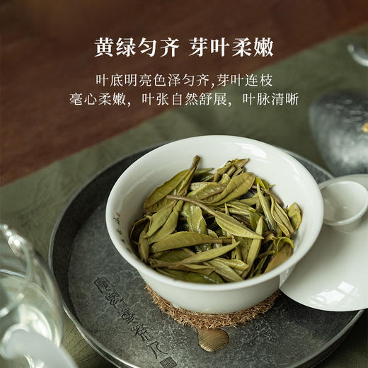 「北路白茶」春陌 福鼎白茶白牡丹明前茶叶2024年正宗高山散茶新茶250g 商品图3