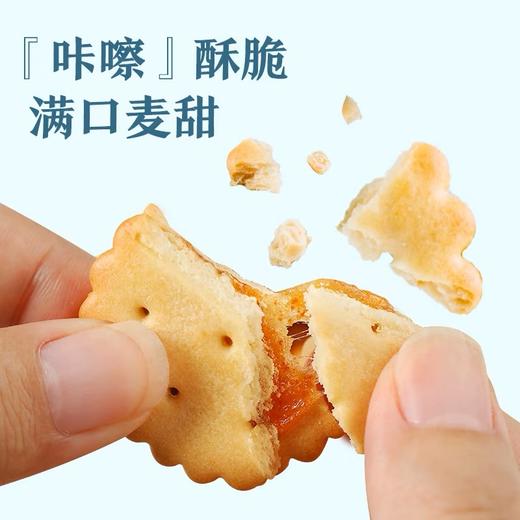 【江城百臻】良品铺子咸蛋黄麦芽饼干102g 商品图3