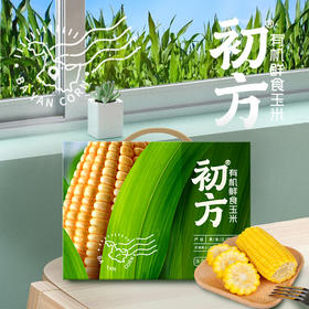 初方有机鲜食玉米 黑龙江巴彦黄糯玉米速食220g*10支礼盒装