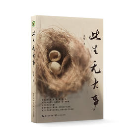 《此生无大事》