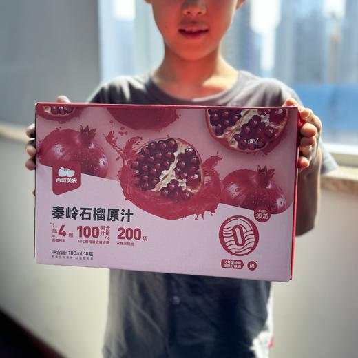 西域美农秦岭石榴汁180ml*8瓶 NFC 配料只有石榴，一瓶约等于4个石榴 商品图7