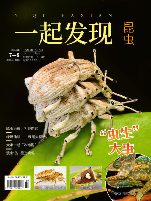 2024年《一起发现》过刊10本一次发出 商品图11