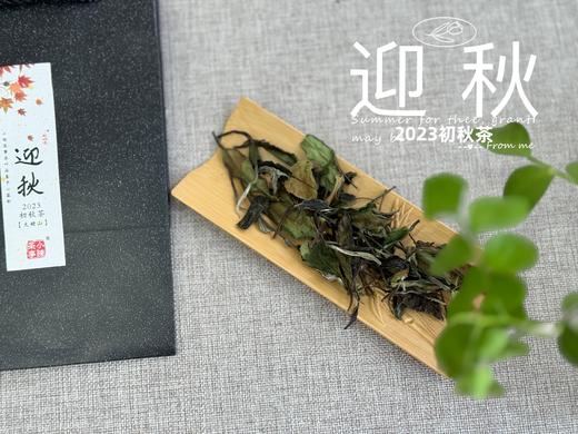 【2023秋茶】2023年的迎秋，是款好品相高等级的好茶。阔别2年，它又回来了！ 商品图3