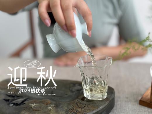 【2023秋茶】2023年的迎秋，是款好品相高等级的好茶。阔别2年，它又回来了！ 商品图7