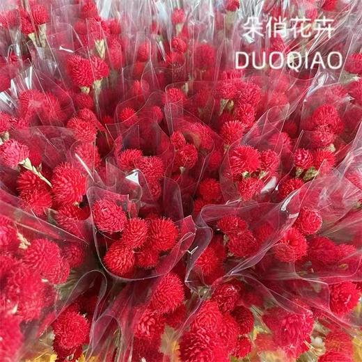 【快递发货】小草莓千日红99元10把 商品图0