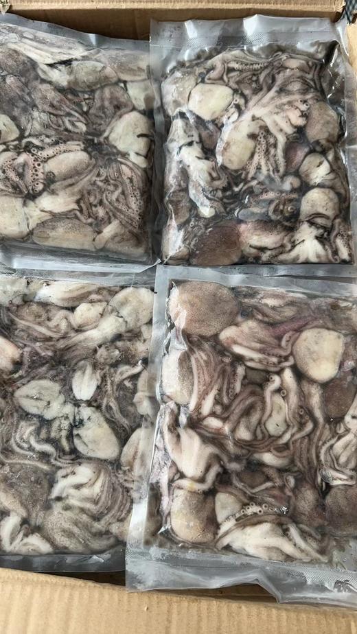 獐子岛原浆小八爪500g/袋，捕捞上以后直接加工，纯原浆不缩水，口感鲜嫩，东三省包邮 商品图3