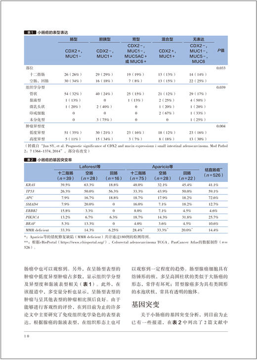 胃与肠 原发性小肠癌的全貌观察 日本胃与肠编委会编著 辽宁科学技术出版社9787559135902 商品图4