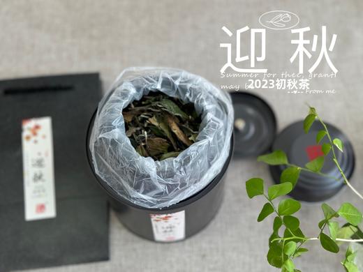 【2023秋茶】2023年的迎秋，是款好品相高等级的好茶。阔别2年，它又回来了！ 商品图1