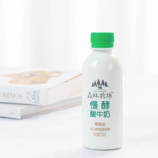 【乍甸•慢酵酸牛奶】2月13日-2月23日停发 全国包邮 72小时慢酵酸牛奶 森林牧场酸牛奶 源自红河老国营农场 黄金奶源带 甄选好牛 自然好奶 250g*6瓶装 商品图3