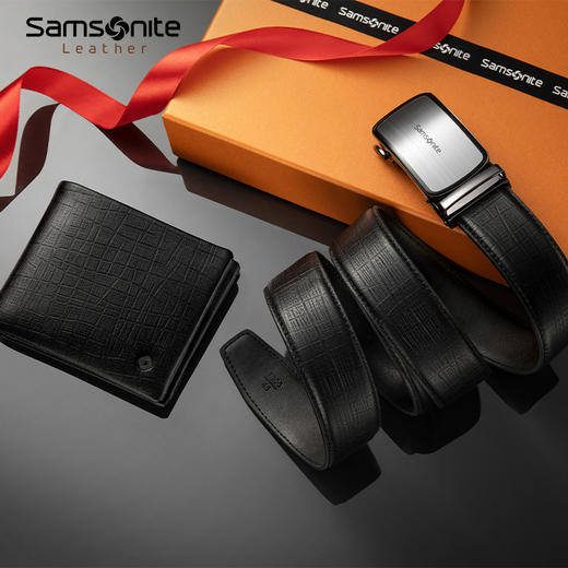 【员工内购】请注意，不退换。新秀丽皮带卡包礼盒NQ1*025 商品图1