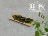 2023年的迎秋，是款好品相高等级的好茶。阔别2年，它又回来了！ 商品缩略图1