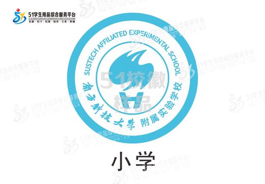 通版深圳市南方科技大学附属实验学校包边小学初中圆形盾牌缝烫51 商品图4