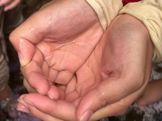 【深圳】溯溪探险 | 桃花源溯溪 商品图2