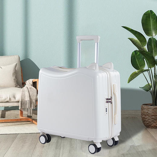 儿童行李箱骑行箱可坐骑18寸密码拉杆箱_ym 商品图1