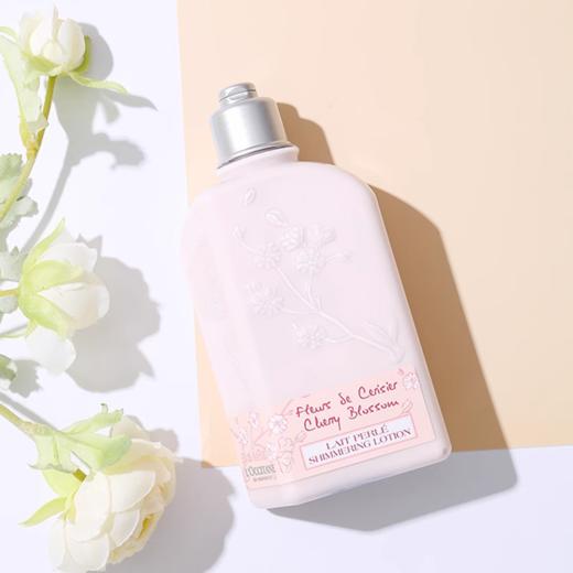 欧舒丹白樱花沐浴露身体乳套装（250ml+250ml）新旧包装随机发 礼盒礼袋 商品图8