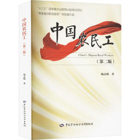 中国农民工(第二版)