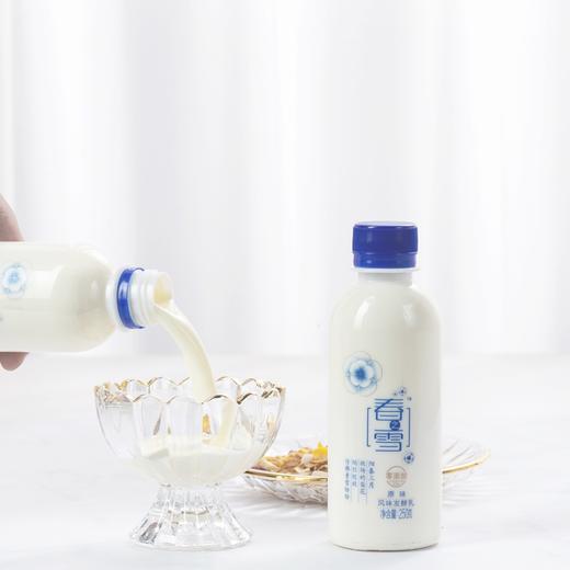 【乍甸•春知雪风味发酵乳】2月13日-2月23日停发 全国包邮 酸甜适中 浓郁醇香 严控品质 奶质上乘 6瓶装 商品图1