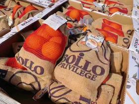 西班牙宝露橙（3斤装）