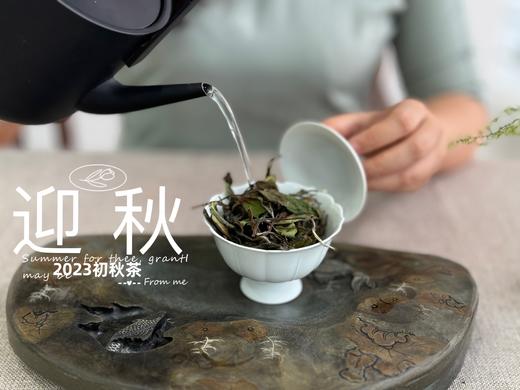 2023年的迎秋，是款好品相高等级的好茶。阔别2年，它又回来了！ 商品图5