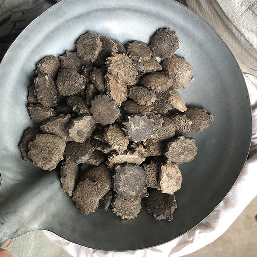 木鳖子 云南野生木鳖子 新货 商品图4