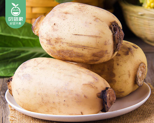 【叼鲜蔬】湖北新鲜莲藕（脆藕）/1份（700g±50g） 商品图3