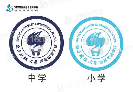 通版深圳市南方科技大学附属实验学校包边小学初中圆形盾牌缝烫51 商品图1