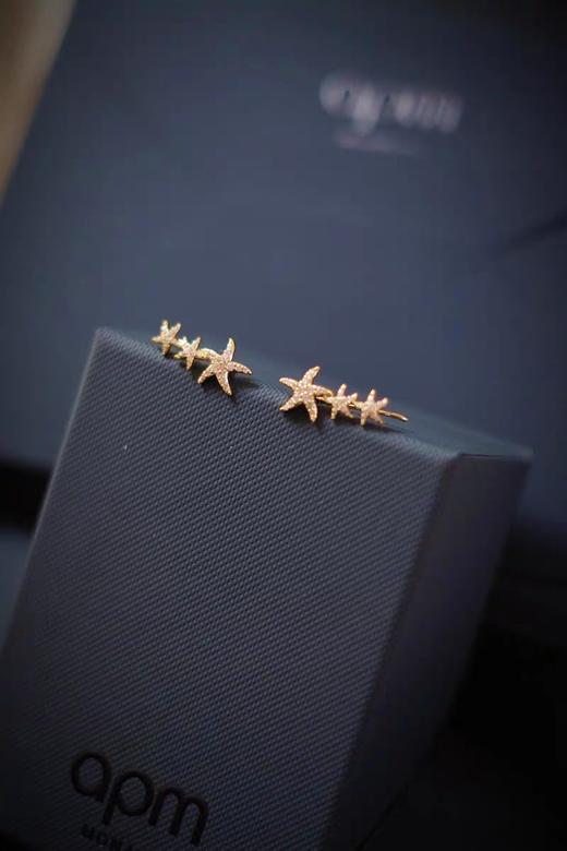 AP*海星弧形耳环 商品图5