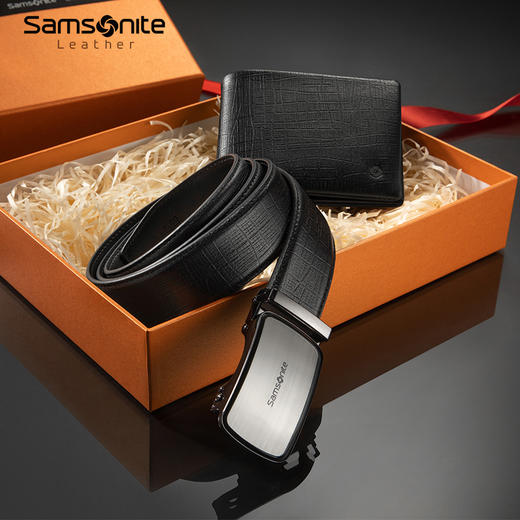 【员工内购】请注意，不退换。新秀丽皮带卡包礼盒NQ1*025 商品图5