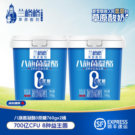 兰格格内蒙古草原凝固型酸奶八旗菌凝酪零蔗糖760g*2桶 商品图0