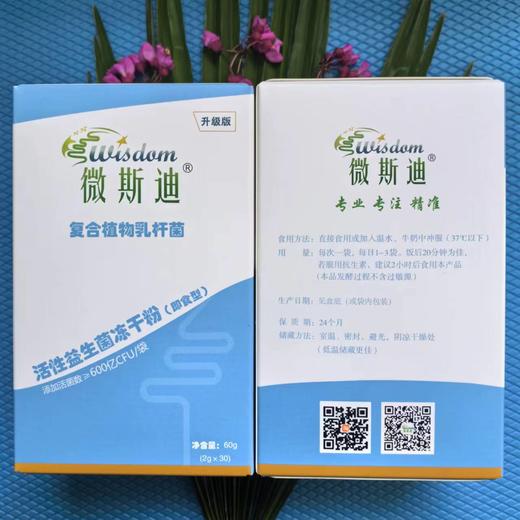 微斯迪复合植物乳杆菌（蓝盒）拍四送一 商品图0